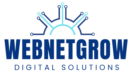 webnetgrow digital solutions